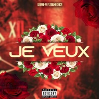 Je veux (feat. Salima Chica) - Single - DJ Erne-Pi