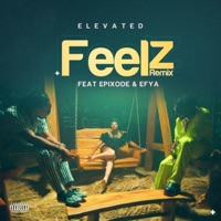 Feelz (feat. Epixode & Efya) - Single - Elevated