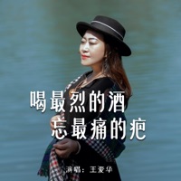 喝最烈的酒忘最痛的疤 - Single - Aihua Wang