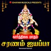 Karthigai Matham Saranam Ayyappa - Single