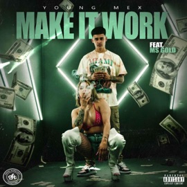 Make It Work (feat. MsGold) Young Mex