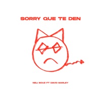 Sorry Que Te Den (feat. David Marley) - Single - Neli Souz