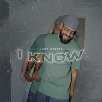 I Know - Single - just stevie