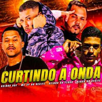 Curtindo a Onda (feat. Black do Recife) - Single - Afinho do Fluxo, GUINHO RDF & 2P do Recife