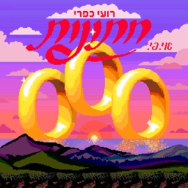 מר וגברת סימן Roy Kafri