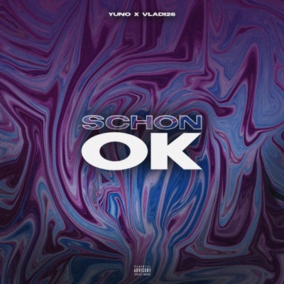 Schon Ok (feat. Vladi26) - Single