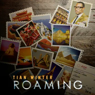 Listen to Roaming by Tian Winter