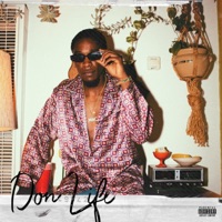 Don Life - Single - Millswaschosen