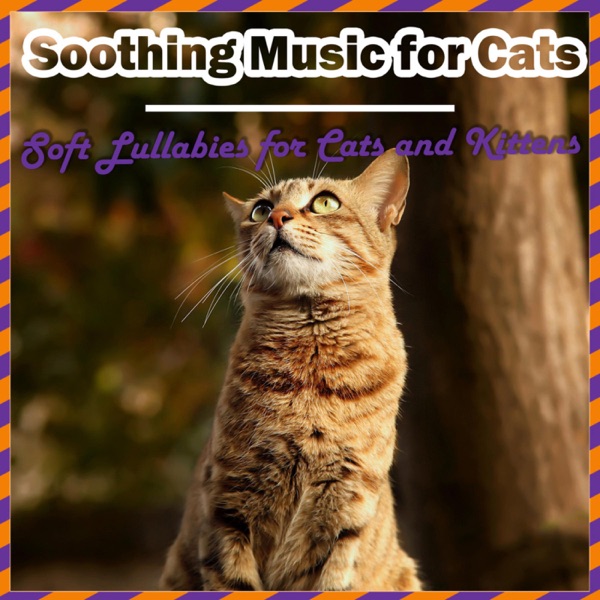 Soothing Music for Cats - Soft Lullabies for Cats and Kittens