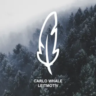 Leitmotiv by Carlo Whale song reviws