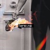 Terminé (feat. w4vy!) - Single