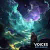 Voices - Bani Raizan