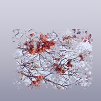 Tú Eres (feat. Joseph Glass Sepulveda) - Single - CALM TRANSMISSIONS