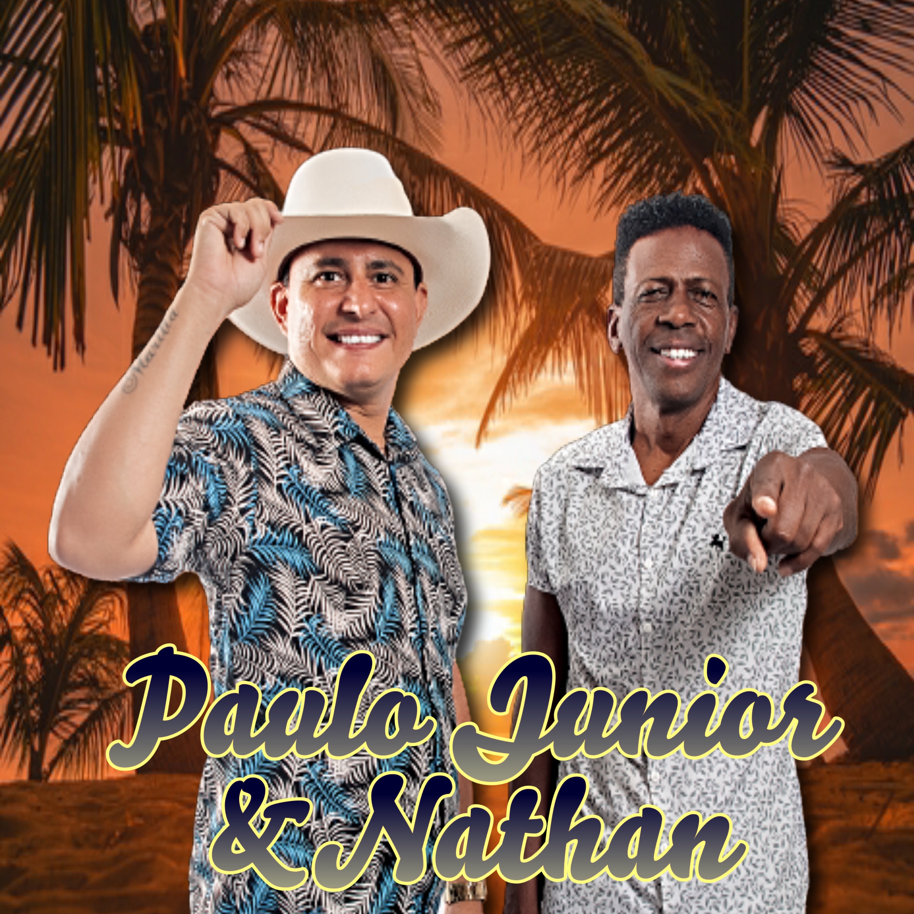 Piseiro de Verão (Cover) - Single