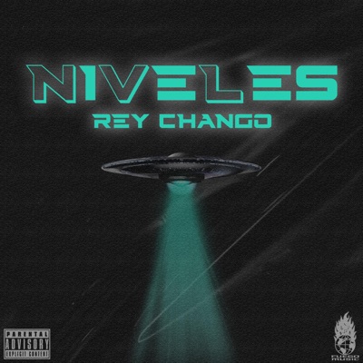 NIVELES - Single