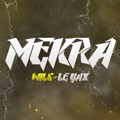 MEKRA (feat. Le Yax) - Single
