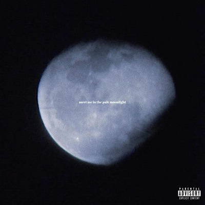 Meet Me In the Pale Moonlight - Single