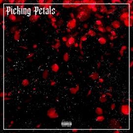 Picking Petals POO$E