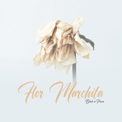 Flor Marchita - Single