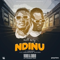 Ndinu (feat. Gwamba & Kambwiri Sisters) - Single - Kell Kay