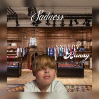 Sadness - Single - SxeepyBunny