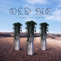 Old Me (feat. Jgriff) - Single - T-Burk