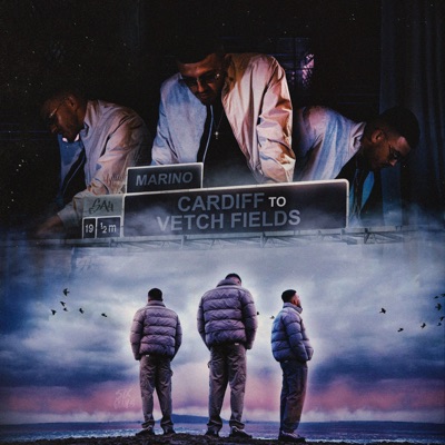 Cardiff to Vetch Fields - Single