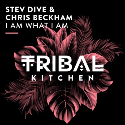 I Am What I Am (Extended Mix) - Single