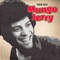 In the Summertime (Rerecorded) - Mungo Jerry lyrics
