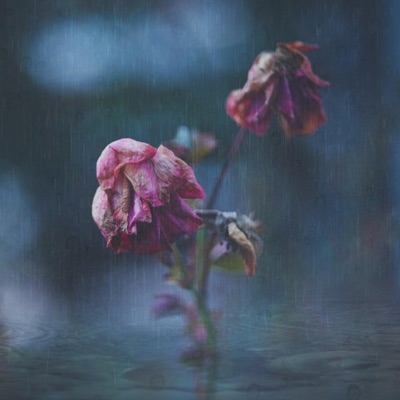 Flores (feat. JK) - Single