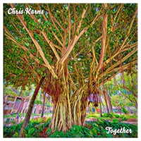 Together - Single - Chris Karns