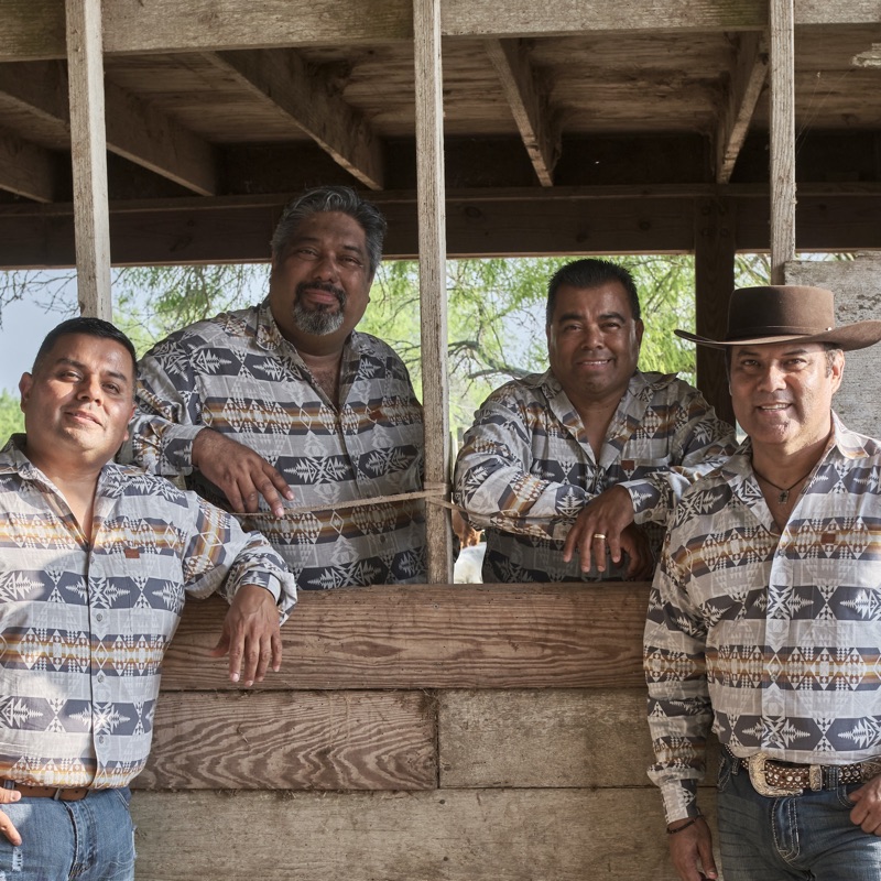 Los Palominos