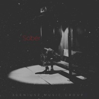 Sober (feat. Priceless) - Single - DJ Show