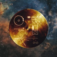 Golden Record - Single - Wondergods, Grizzle & Brhymin