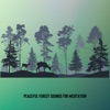 Peaceful Forest Sounds for Meditation (Brown Noise), Loopable