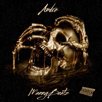 New Beginnings (feat. MannyBeatz) - Single