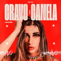 Cravo e Canela (feat. Alta Hits) - Single - Lokira