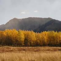 1 Corinthians (feat. Shawn Halim) - Single - Alabaster Co.