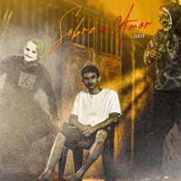 Sobre o Amor - Single - mc zerva & DJ DERKIAM