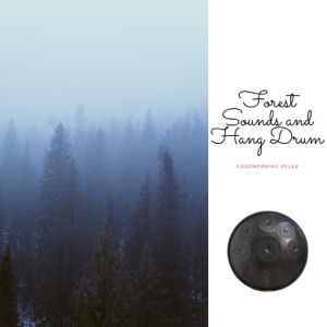 Forest Sounds and Hang Drum: Stress Relief Meditation After Work