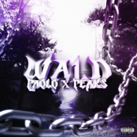 Fern (feat. Peaks) - Single - Paolo