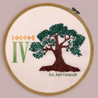 Louvor IV (feat. Joyce Carnassale) - Single - O Bairro Novo