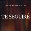 Te Seguiré - Single