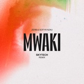 Mwaki (Skytech Remix) artwork