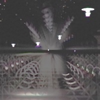 Not Twice - Single - Photograph Your Aura, Nelson Dialect & Alnitak Kid