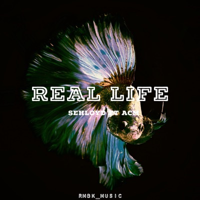 Real Life (feat. ACM) - Single