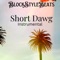 Short Dawg - Diggy-D lyrics