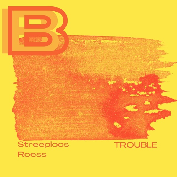 Troubles (feat. Roess) - Single
