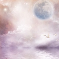 big ol lab (feat. Toxik, BROKE CHIC & afxckingkid) - Single - Settapik