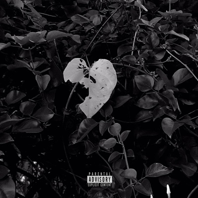 splittinSeams - Single